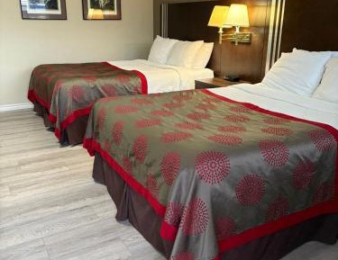 Superior Queen Room