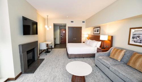 Studio Suite, 1 King Bed, Sofa Bed