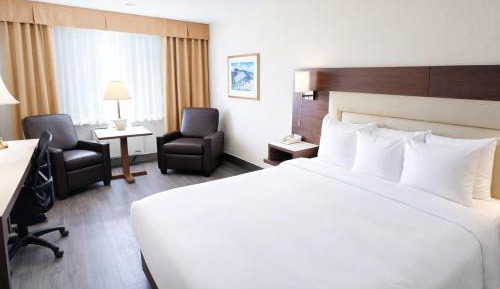 Executive King Room
