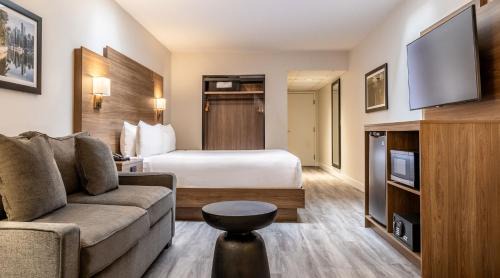One queen bed with sofa bed – interior