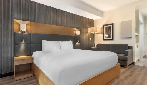King Room - Pet-Friendly