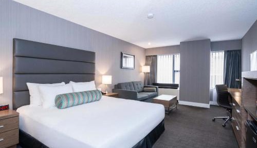 Standard Room, 1 King Bed, Sofa Bed