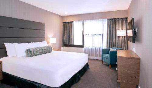 Standard Room, 1 King Bed, Sofa Bed, Kitchenette
