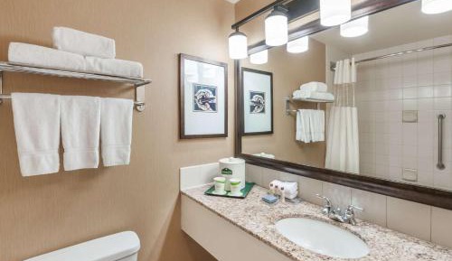 One-Bedroom King Business Suite, Non-Smoking