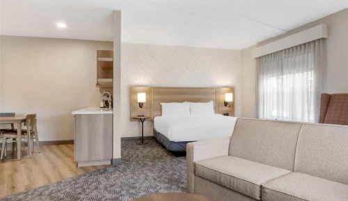 King Suite with Sofa Bed and Kitchenette