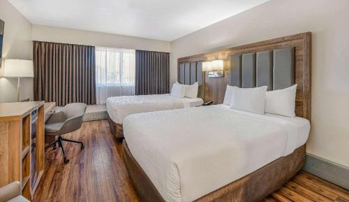 Deluxe Double Room with Kitchenette and Street View