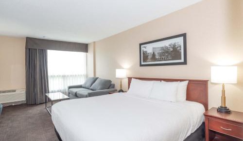 Standard Room, 1 King Bed, Sofa Bed
