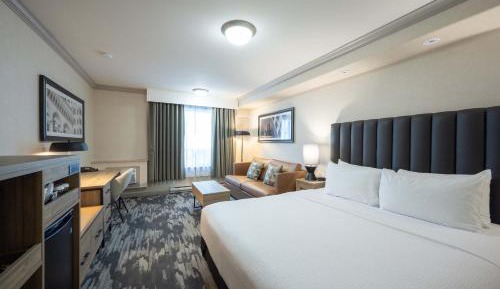 Standard Room, 1 King Bed, Sofa Bed