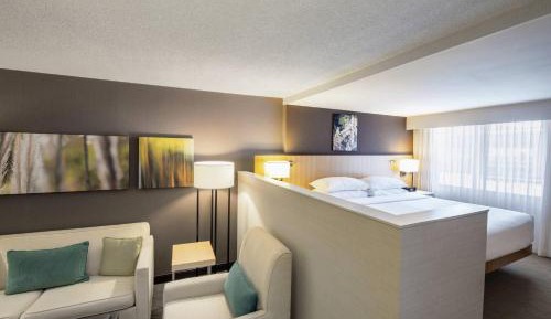 Deluxe, Bi-level Suite, 1 King, Sofa bed