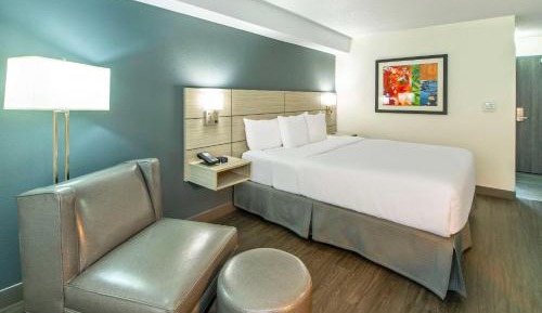 Business King Room - Non-Smoking