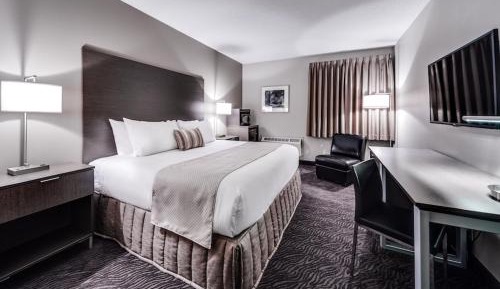 Premier King Room