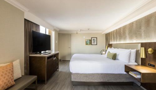 One-Bedroom King Suite with Sofa Bed