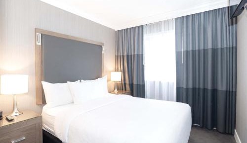 Standard Suite, 1 Queen Bed, Sofa Bed