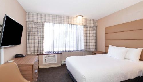 Studio Suite, 1 Queen Bed, Kitchen