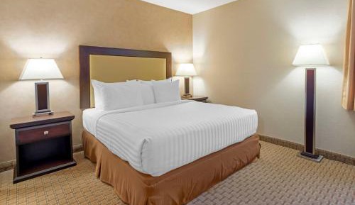 Queen Room with Roll-In Shower - Mobility Accessible/Non-Smoking