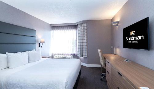 Standard Suite, 1 King Bed, Sofa Bed, Kitchenette