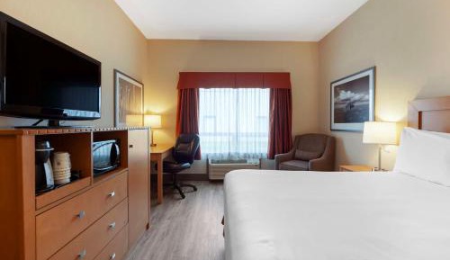 Queen Room with Roll-In Shower - No Pets Allowed/Disability Access/Non-Smoking