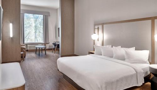 Studio with King Bed, Roll-In Shower and Sofa Bed - Mobility Access/Hearing Accessible