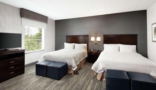 Studio Suite with Two Queen Beds and Sofa Bed - Non-Smoking