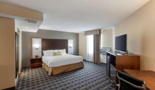 King Suite with Sofa Bed