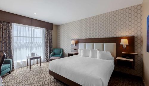 King Room - Non-Smoking