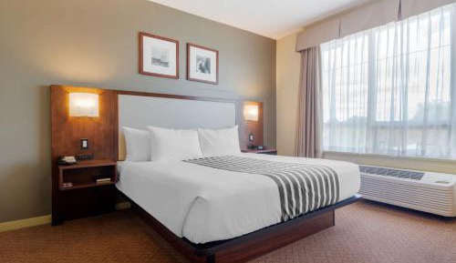 Queen Room with Walk-In Shower and Kitchen - Mobility Accessible/Non-Smoking