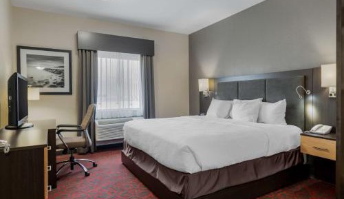 Queen Room with Roll-in Shower - Disability Access/Non-Smoking/Pet-Friendly