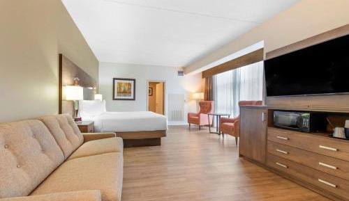 King Suite with Sofa Bed and Park View - Non-Smoking