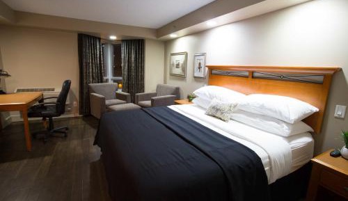 King Room - Pet Friendly/Non-Smoking