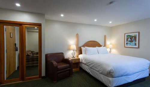 King Room - Non Pet Friendly