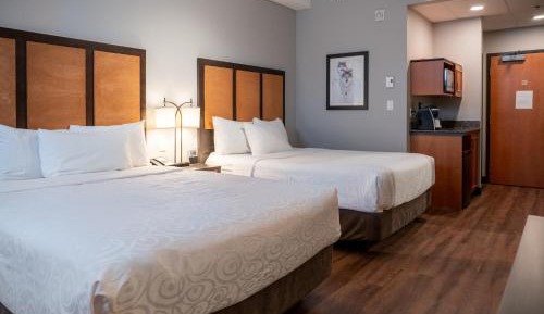 Standard Queen Room