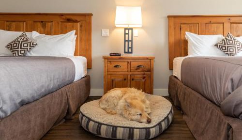 Queen Room with Two Queen Beds - Pet Friendly