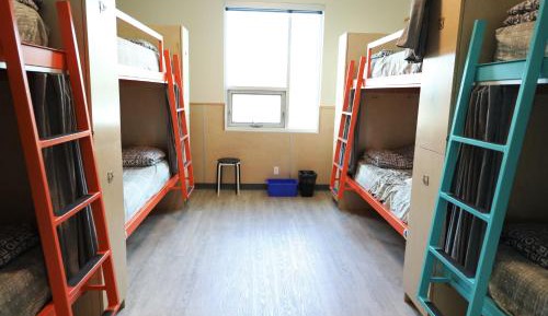 Bed in 8-Bed Mixed Dormitory Room