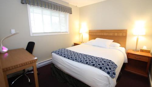 One-Bedroom Queen Suite