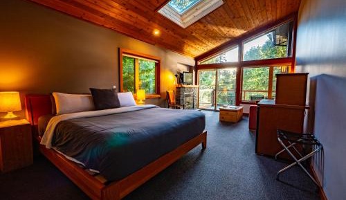Deluxe King Lodge Suites (No Kids Or Pets)
