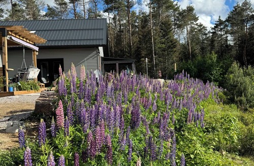 Unorganized North East Parry Sound House | Cozy Modern Home near many lakes and Algonquin Park and Skidoo/ATV Trails