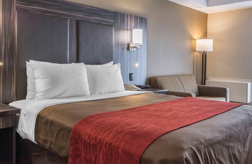 Trenton Hotel | Comfort Inn Trenton