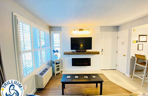 Craigleith Condo | Slopeside Condo - Wifi, Linens/Towels, Ski In/Out