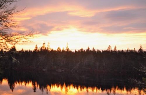 Prospect Bay House | Private Lakefront Escape Swim Sip Wine Stargaze 25 Mins to Halifax
