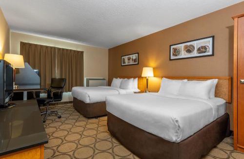 Cobourg Hotel | Comfort Inn Cobourg - Port Hope