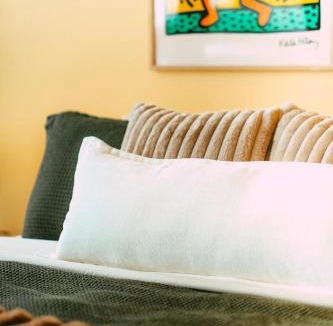 Downtown Halifax Apartment | Historic Penthouse Loft 1 BR 1 Bath with Views
