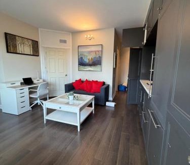 Bloor-Yorkville Apartment | Penthouse in Prestigious Yorkville