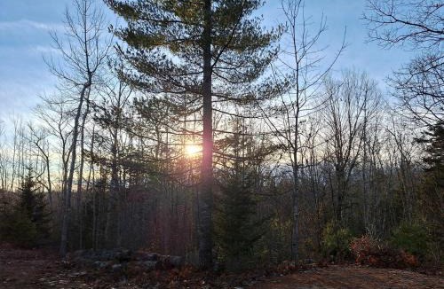 Cherryfield House | Unplug and Reconnect in a Peaceful Off-Grid Cabin for Relaxation and Nature Immersion in Beddington, Maine