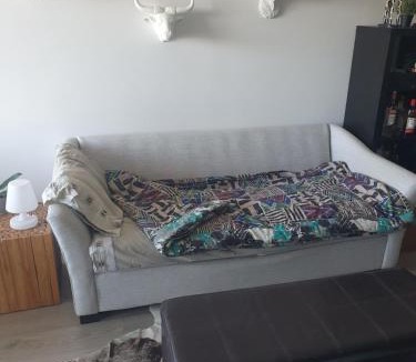 Trinity - Bellwoods House | Trendy Queen West Area vacation rental near the venue