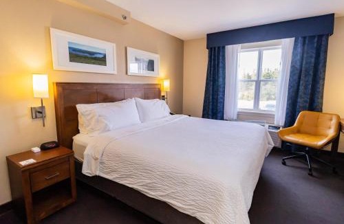 Deer Lake Hotel | Deer Lake Horizon Hotel, BW Signature Collection