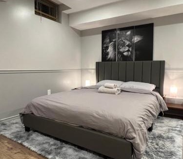 North York House | Modern, basement apartment, close to airport