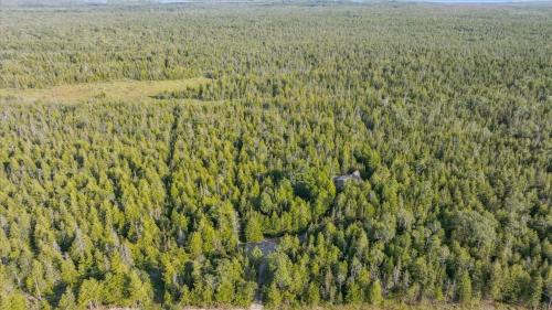 Tobermory House | Tobermory PRIVATE Wooded Retreat All-Season