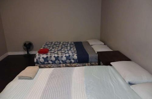 Kitchener House | Central Kitchener Downtown in Budget- Near to College, Bus, Restaurant, Airport