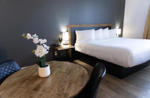 Communaute-Urbaine-de-l'Outaouais Hotel | Hôtel Napoléon