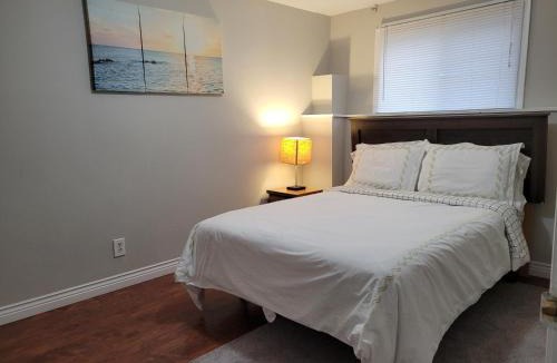 St. John's Apartment | Full 1-bedroom apartment